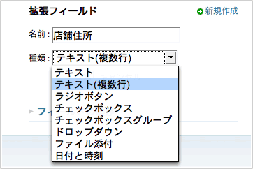 キャプチャ画像：拡張フィールド。