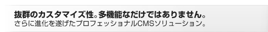 抜群のカスタマイズ性。多機能なだけではありません。さらに進化を遂げたプロフェッショナルCMSソリューション。