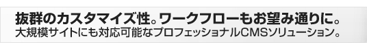 抜群のカスタマイズ性。ワークフローもお望み通りに。大規模サイトにも対応可能なプロフェッショナルCMSソリューション。