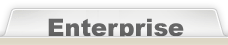 Enterprise版