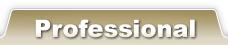 Professional版