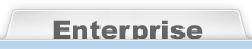 Enterprise版