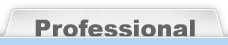 Professional版