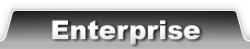 Enterprise版