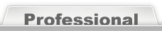 Professional版