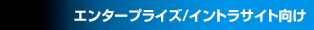 エンタープライズ／イントラサイト向け