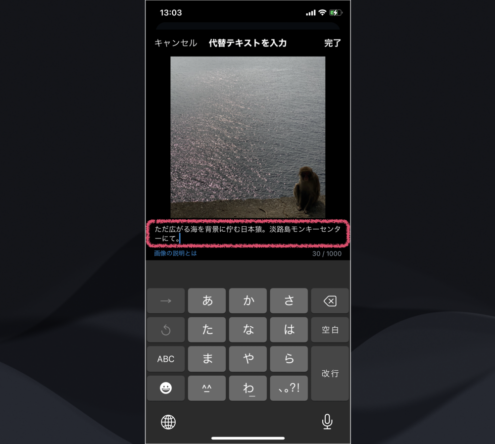 iPhoneでX(Twitter)の投稿写真に代替テキストを入力するスクリーンショット。「ただ広がる海を背景に佇む日本猿。淡路島モンキーパークにて」